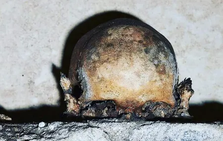 The Skull with the Ears: the Cult of the Dead in the Church of S. Luciella