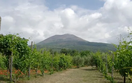 Ercolano Vineyards Guided Wine Tasting Experience with Brunch