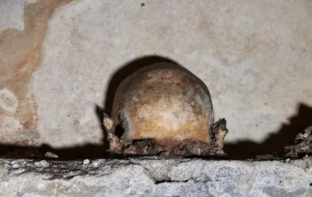 The Mystery of Naples Saga: The Skull with ears