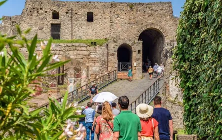 Pompeii: Tour with Priority Entrance and Guide from Naples