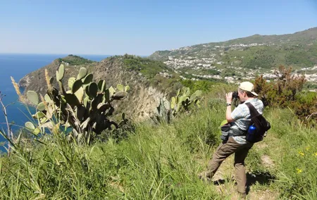 Half-day east coast hike in Ischia island with pick-up