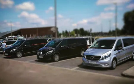 private transfer from Naples to Peastum or Peastum to Naples
