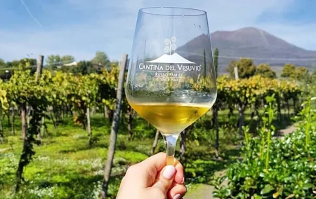 Tour of Pompeii with tour guide plus wine testing and lunch in a winery Vesuvius