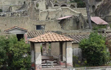 Excavations of Herculaneum. Tour guide and skip-the-line ticket