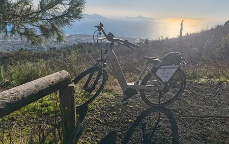 Vesuvius E-Bike Tour Experience from Naples with train