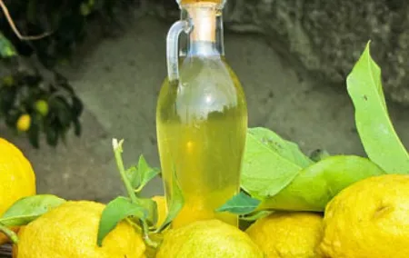 Oil plus Limoncello Tasting and Wine tour