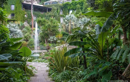 Tour Gardens La Mortella