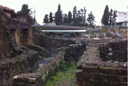 Transfer from Naples to Positano with a 2hr stop at Herculaneum (1-8PAX)