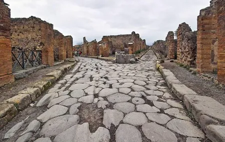 Herculaneum ruins and Naples National Archaeological Museum tour from Naples