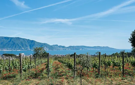 Pompeii and Vesuvius Private Tour with Wine tasting