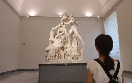 Naples National Archaeological Museum and historical centre private tour