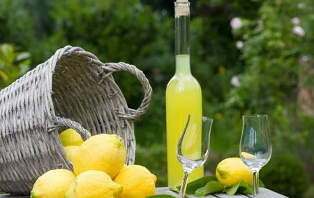 The Gastronomic Tour: Limoncello, Olive Oil and Wine Tasting with Lunch