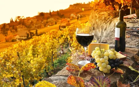 Truffle and Brunello Sommelier Vip Experience in Tuscany Lands from Rome