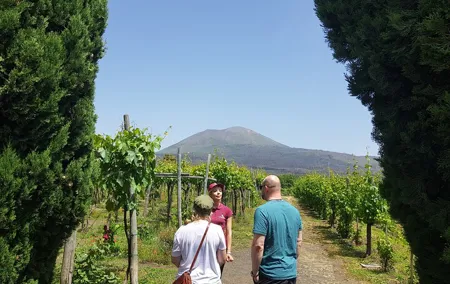 Wine tasting in the Vesuvius National Park