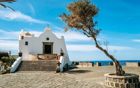 One Day Naples Forio Walking Hydrofoil Transfer Tour