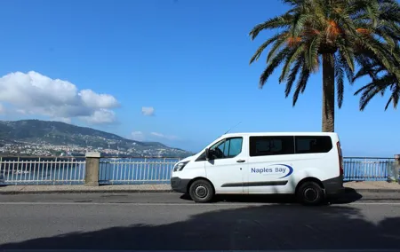 Pompeii & Sorrento Private Tour with Guide and Driver from Naples