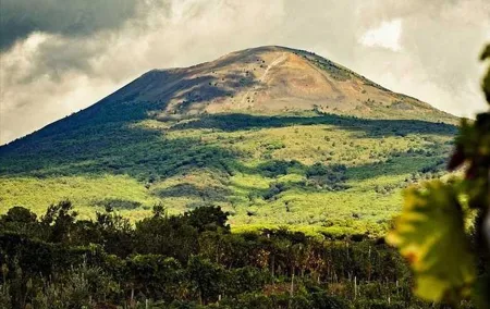 From Naples: Mt. Vesuvius with wine tasting