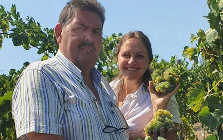 Private Naples Food and Wine Harvest Tour