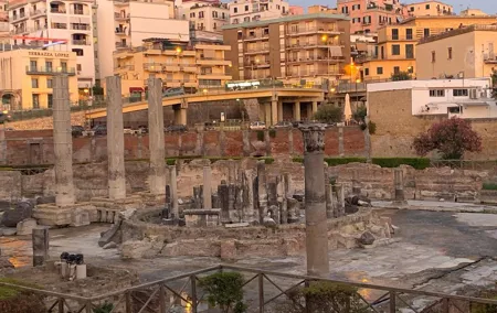 Testing Wine to the farm and Pompeii Ruins with driver
