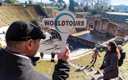 Pompeii Ruins Tour with Local Wine & Light Lunch from Naples