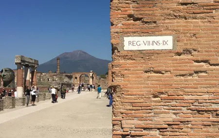 History and Wine - Private car service, guided tour of Pompeii and Wine tasting