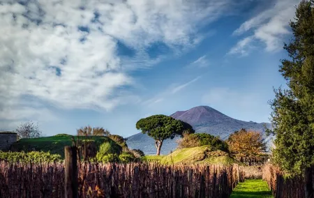 Full-Day Private Pompeii and Vesuvius Wine Tour from Naples