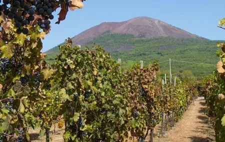 Private Food and Wine Tour by Mount Vesuvius