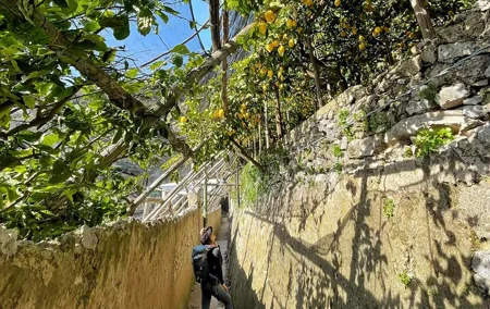 Ravello and Lemon Grove Experience Private Tour from Naples