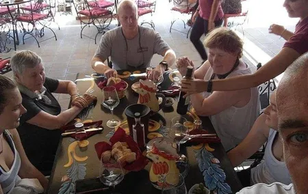 Pompeii Skip-The-Line with Lunch&WineTasting from Naples Cruise Port