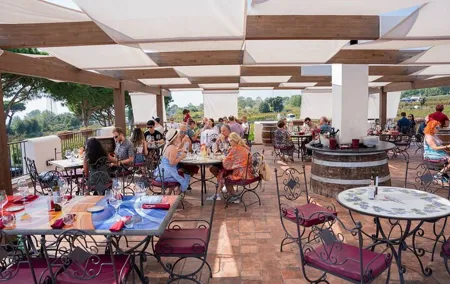 Pompeii Excavations with Lunch in the Vineyard Private Tour