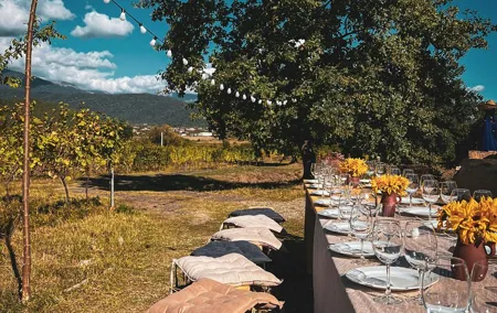 Pompeii & Mount Vesuvius Dinner by Night | Family Table