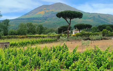 Reliable Private Transfer from Naples to Amalfi or Vice Versa