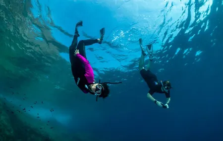 Guided snorkeling in the Portofino Marine Protected Area