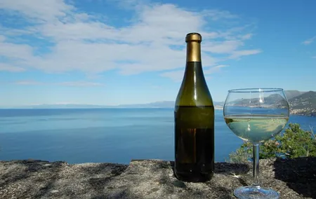 CAMOGLI: PRIVATE Ligurian Wine Tasting Experience and walking on National Park