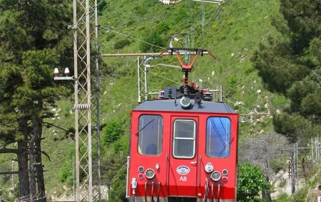 One-Day Gastronomic Tour in the Trenino del Gusto with Lunch