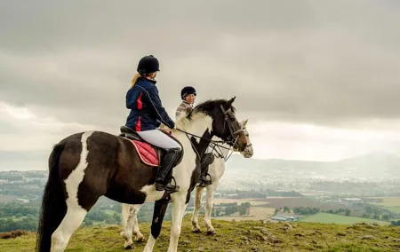 Dublin to Wicklow, Glendalough Small Group Tour with Horse Riding