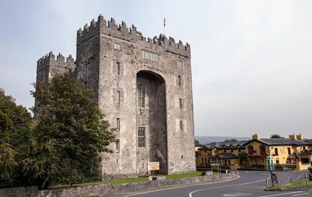 Dublin to Bunratty Castle, Cliffs of Moher, Burren Galway by Rail