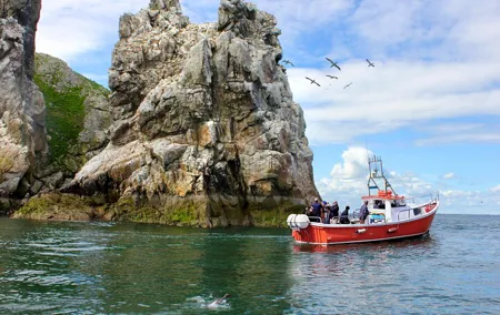 Howth Coastal Boat Tour (Ireland's Eye Ferries 50 mins trip)