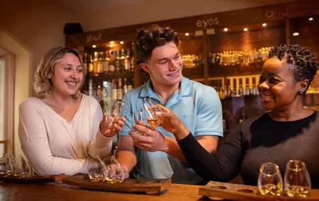Dublin Irish Whiskey Museum and Gallery Guided Tour with Tasting