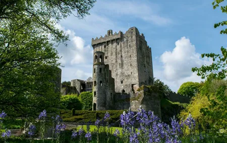 Your Irish Tour Blarney and Cork Private Day Tour
