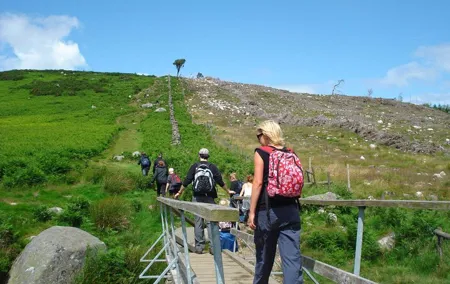 Dublin to Wicklow, Glendalough Small Group Tour with Guided Walk