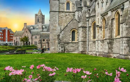 Book of Kells, Dublin Castle and Christ Church Cathedral Tour