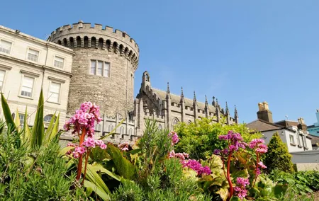 Dublin Private Tour with Skip-the-line Dublin Castle Tickets