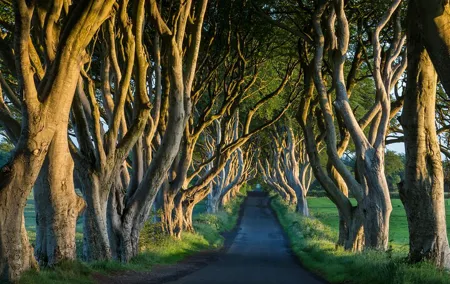 Private Northern Ireland Day Tour from Dublin