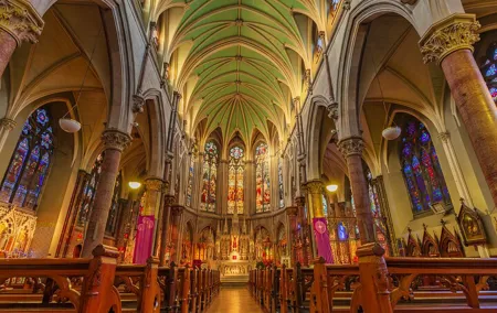 Dublin City & St Patrick's Cathedral Half-Day Tour by Car