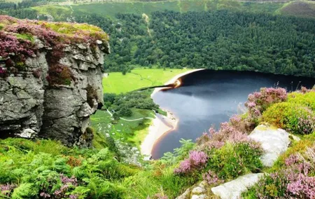 Tour Wicklow Mountains National Park in a limo with private guide