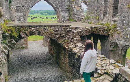 Private Tour from Dublin: Hill of Tara Trim Castle, Celtic sites