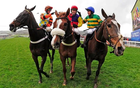 A Day At The Races & the Horse Lovers Tour