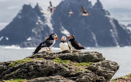 7-Day Ireland to Island Small Group Tour from Dublin
