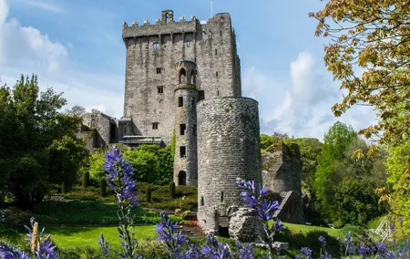 Luxury Private Day Tour to Blarney Castle